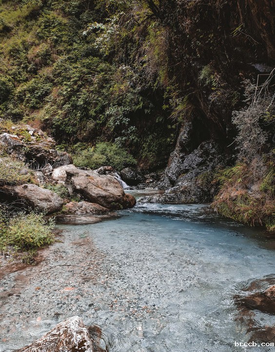 氨氮