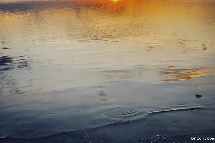 氨氮