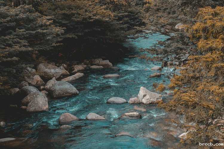 氨氮