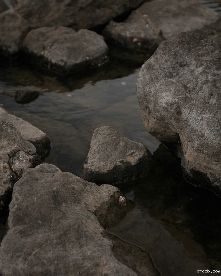 氨氮