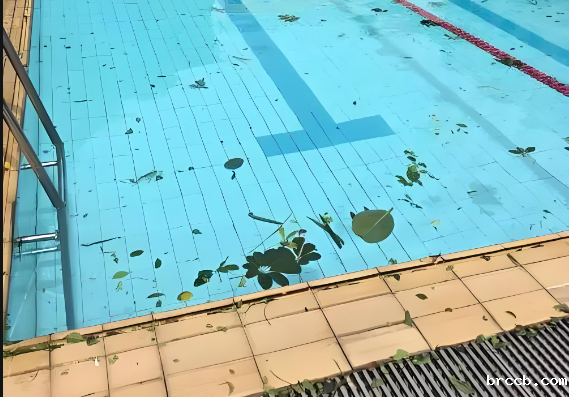 游泳池余氯在线水质检测仪