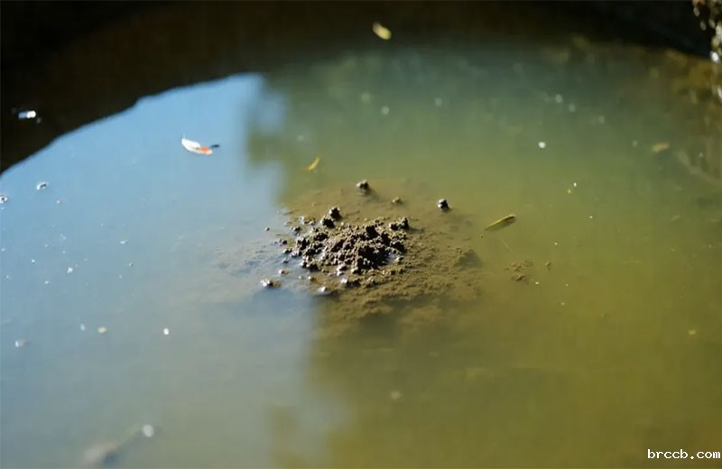 低量程水质浊度检测仪