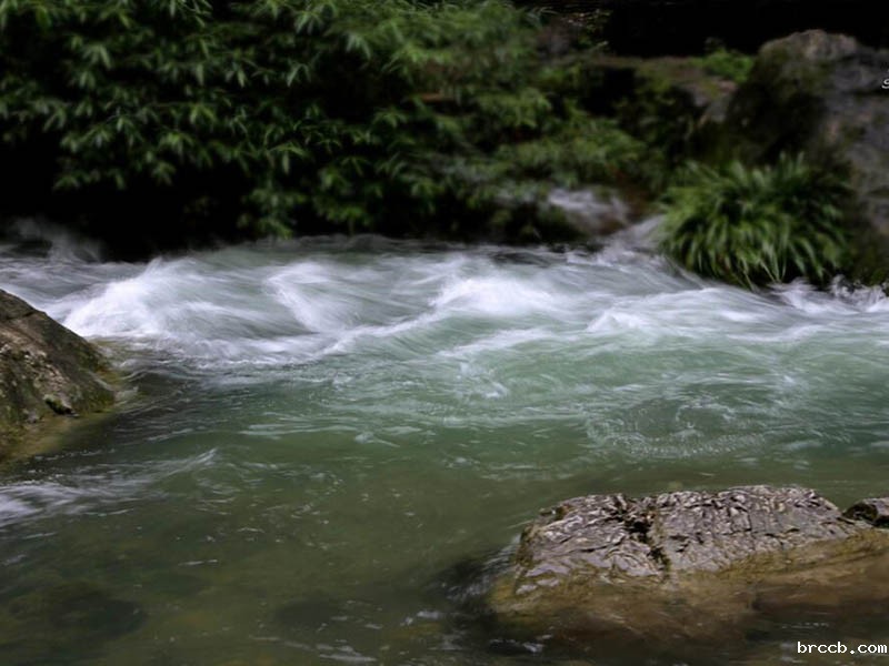 锅炉水氢电导率检测仪